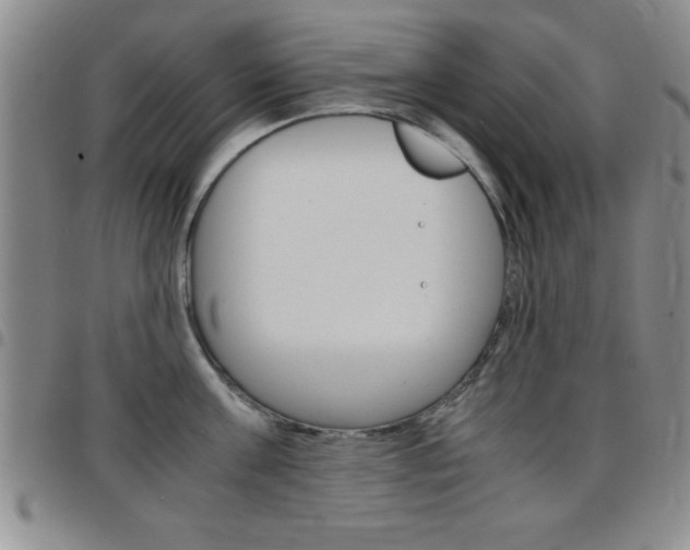 X0000097820811200803140804