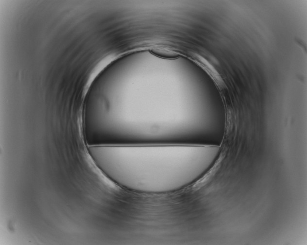 X0000097820812200803140804