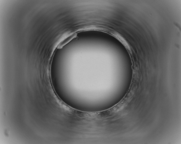 X0000097820813200803140804