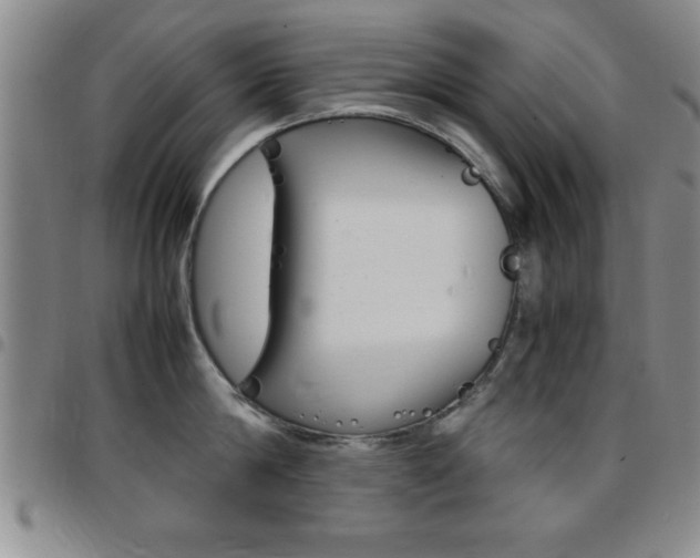 X0000097820814200803140804