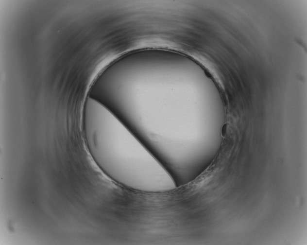 X0000097820815200803140804