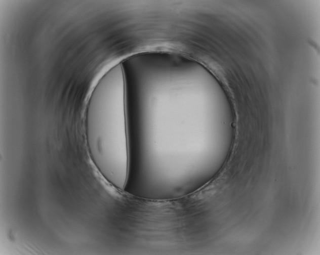 X0000097820816200803140804