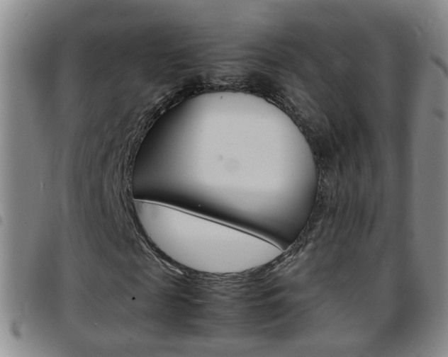 X0000097820817200803140804