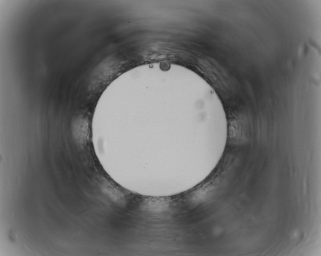 X0000097820820200803140804