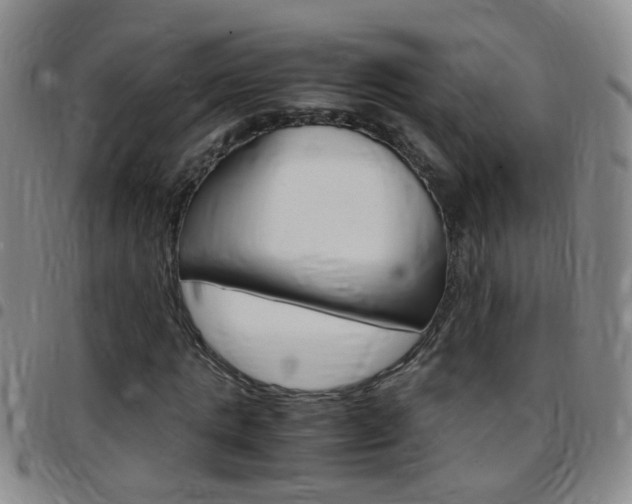 X0000097820821200803140804