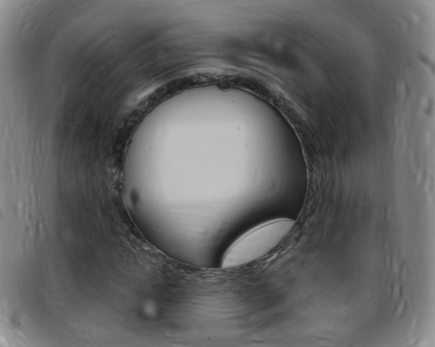 X0000097820822200803140804