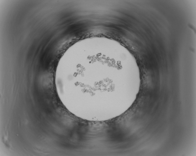 X0000097820824200803140804