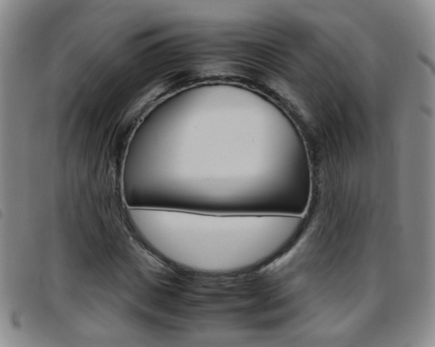 X0000097820825200803140804