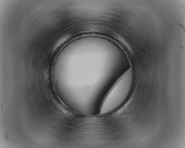 X0000097820826200803140804