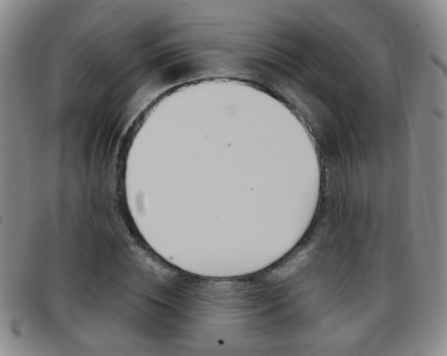 X0000097820828200803140804