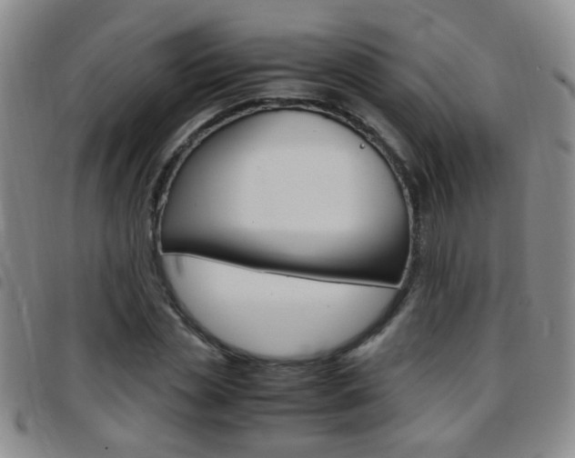 X0000097820829200803140804