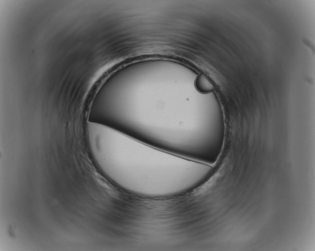 X0000097820830200803140804