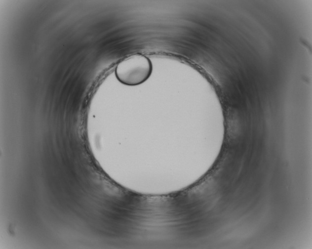 X0000097820832200803140804