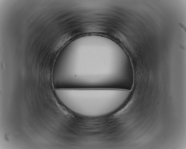 X0000097820833200803140804
