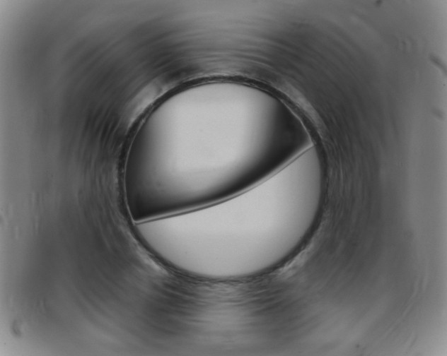 X0000097820834200803140804