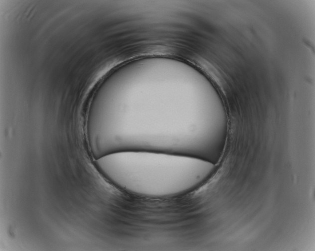 X0000097820835200803140804