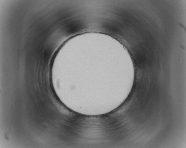 X0000097820836200803140804