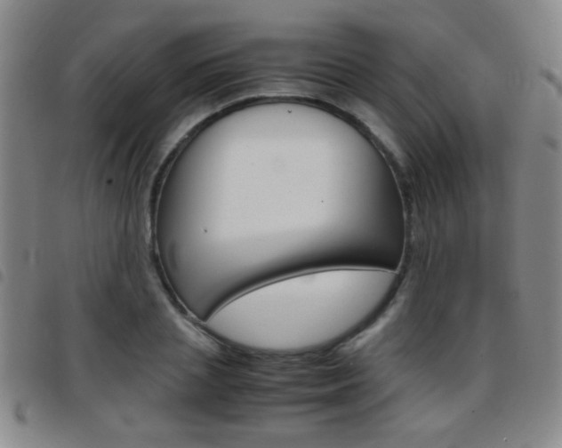 X0000097820837200803140804