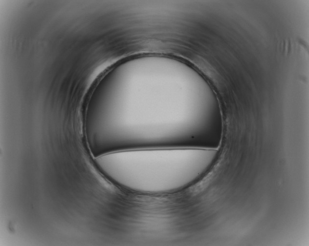 X0000097820838200803140804