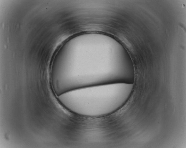 X0000097820840200803140804