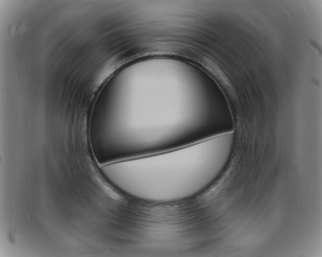 X0000097820842200803140804