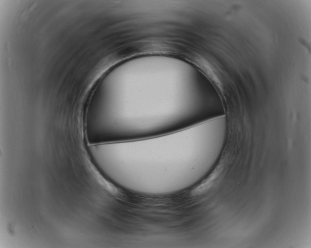 X0000097820843200803140804