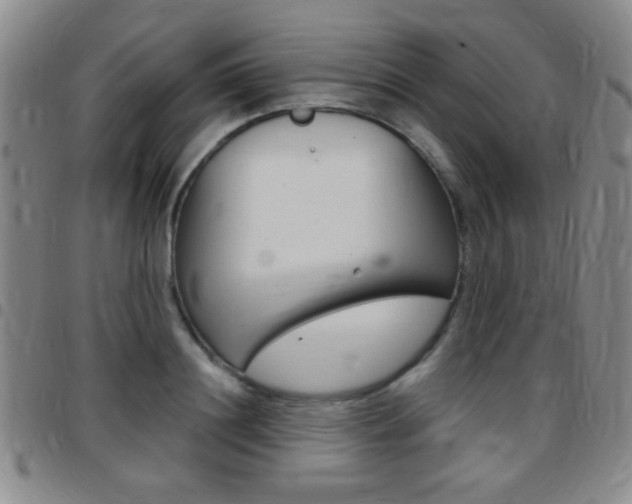 X0000097820844200803140804