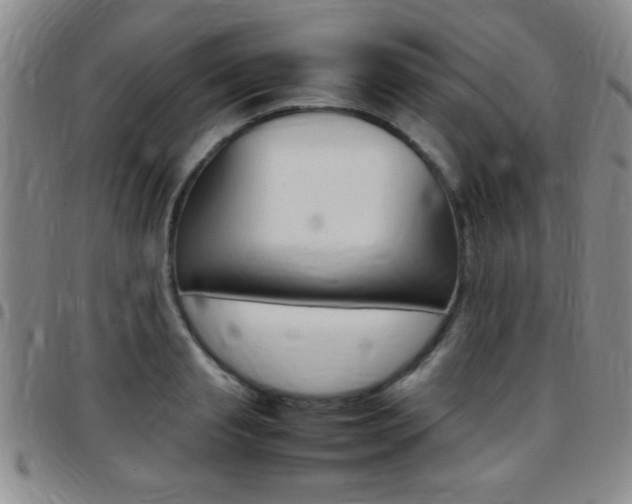 X0000097820845200803140804