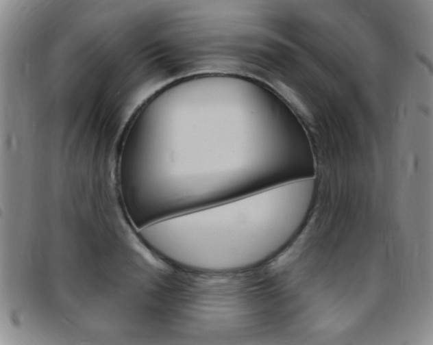 X0000097820846200803140804