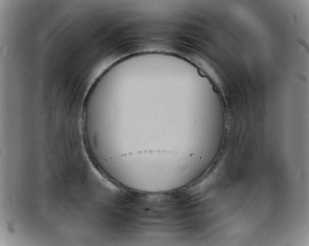 X0000097820847200803140804