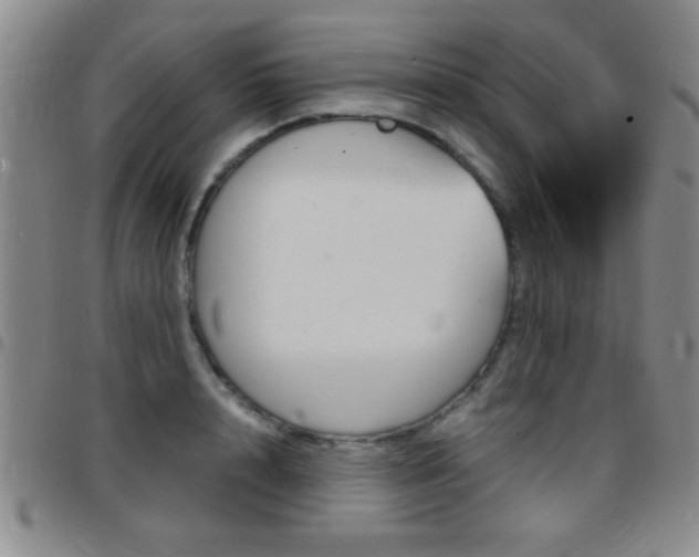 X0000097820848200803140804