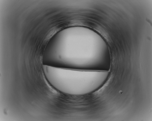 X0000097820849200803140804