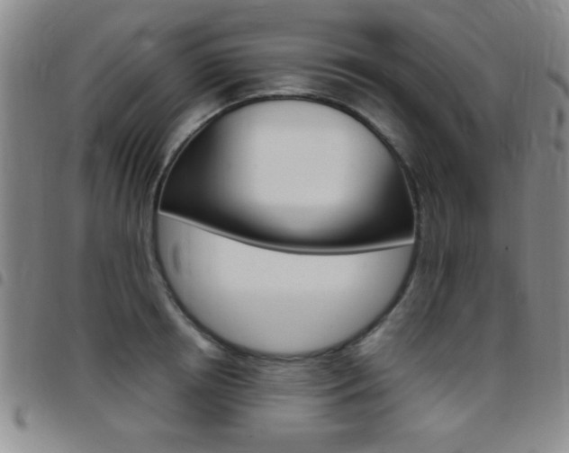 X0000097820850200803140804