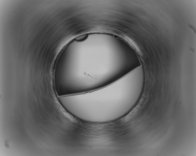 X0000097820854200803140804