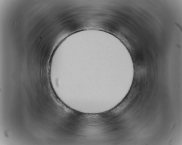 X0000097820856200803140804