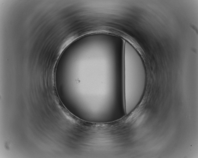 X0000097820858200803140804