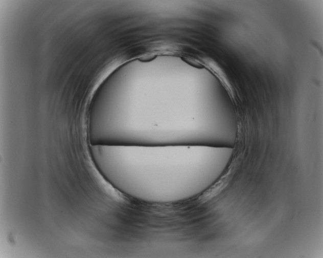 X0000097820859200803140804