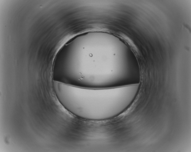 X0000097820860200803140804