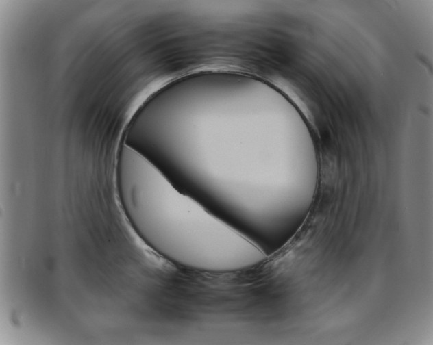 X0000097820861200803140804