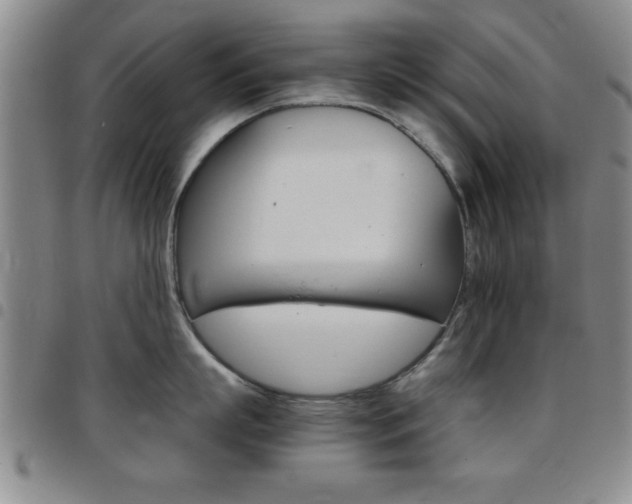 X0000097820863200803140804