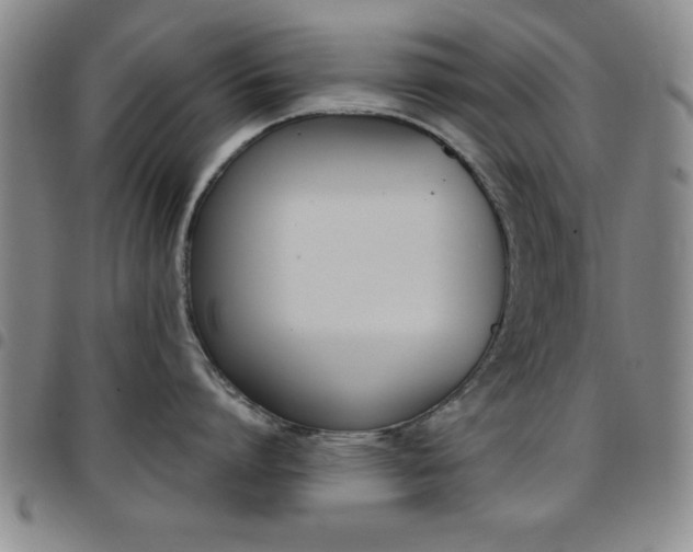 X0000097820864200803140804