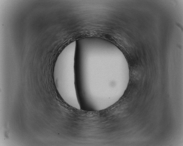 X0000097820865200803140804