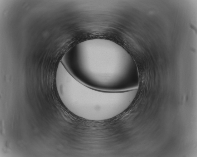 X0000097820868200803140804