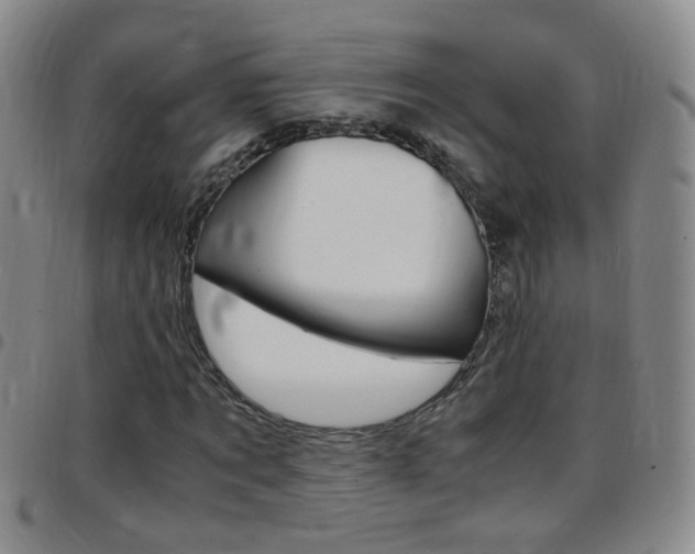 X0000097820869200803140804