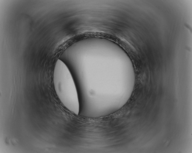 X0000097820870200803140803