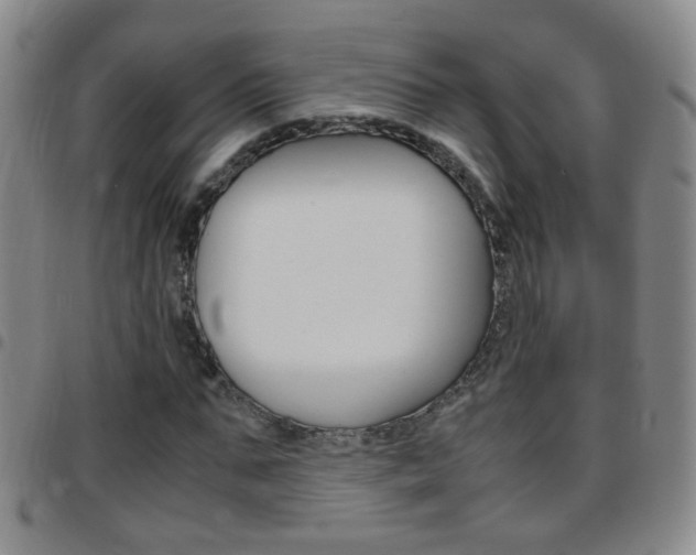 X0000097820871200803140803