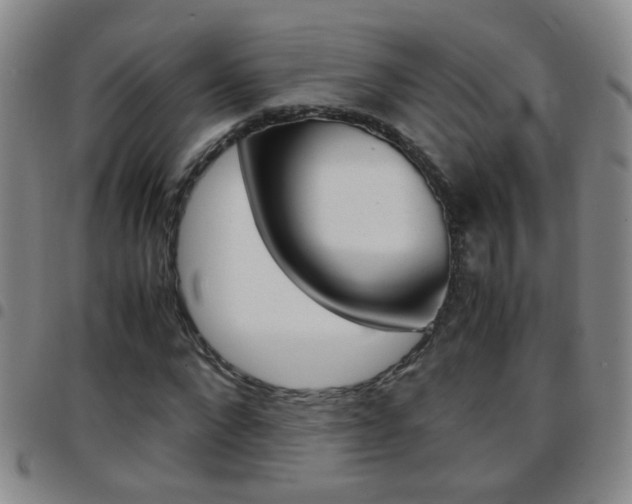 X0000097820872200803140803