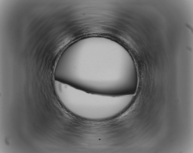 X0000097820873200803140803