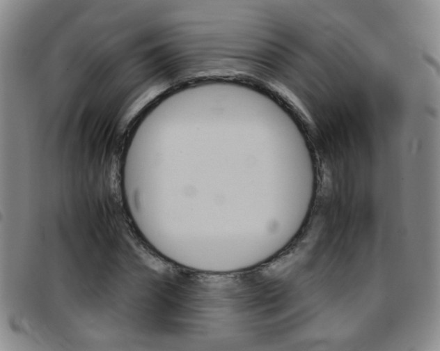 X0000097820874200803140803