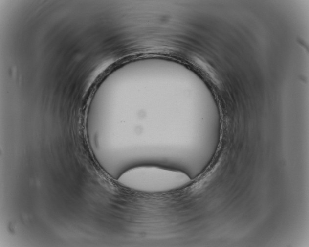 X0000097820875200803140803